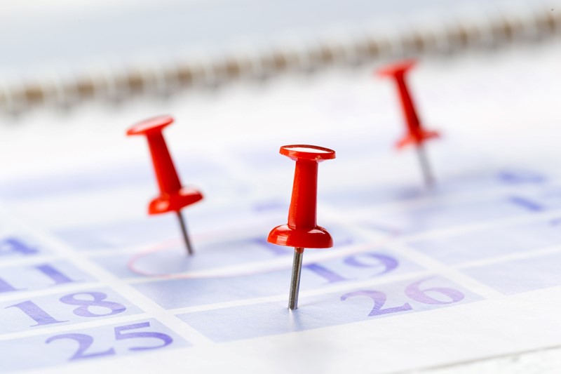 Sie betrachten gerade Steuertermine Oktober 2025