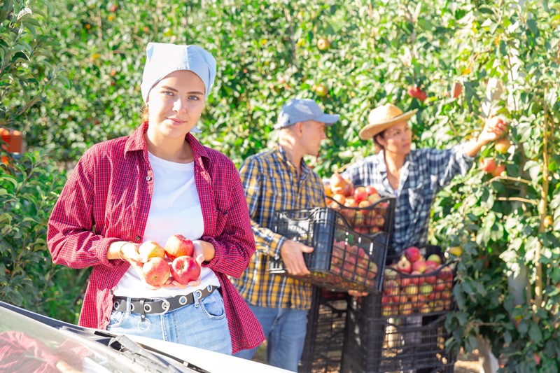 Sie betrachten gerade Kurzfristige Beschäftigung in der Landwirtschaft: Änderungen ab 2026