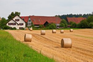 Mehr über den Artikel erfahren Hofübergabevertrag: Lebenslanges Altenteil ist keine Schenkung